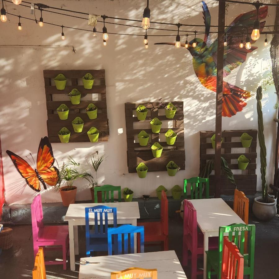 فيلا Casa Frida تولوم المظهر الخارجي الصورة